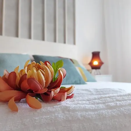 Duplex With Sea Views, Garden And Terrace סנטה קרוז דה טנריף